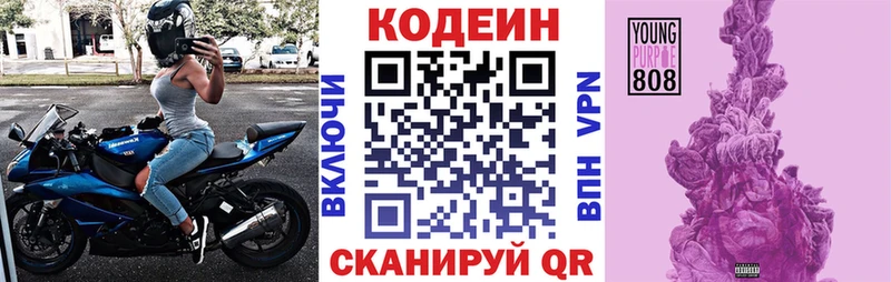 MEGA ТОР  нарко площадка как зайти  Гвардейск  Codein Purple Drank  где можно купить наркотик 