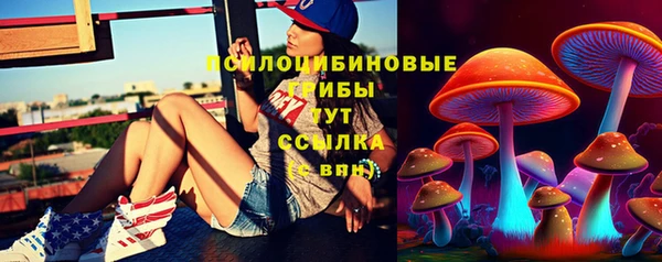 молекула духа Верея