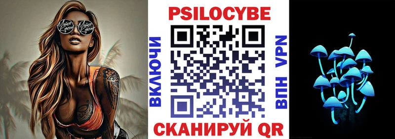 Галлюциногенные грибы GOLDEN TEACHER  магазин  наркотиков  blacksprut   Гвардейск 