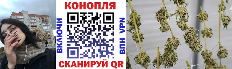 хочу   Гвардейск  Бошки Шишки конопля 